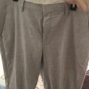 Express Dress Pants